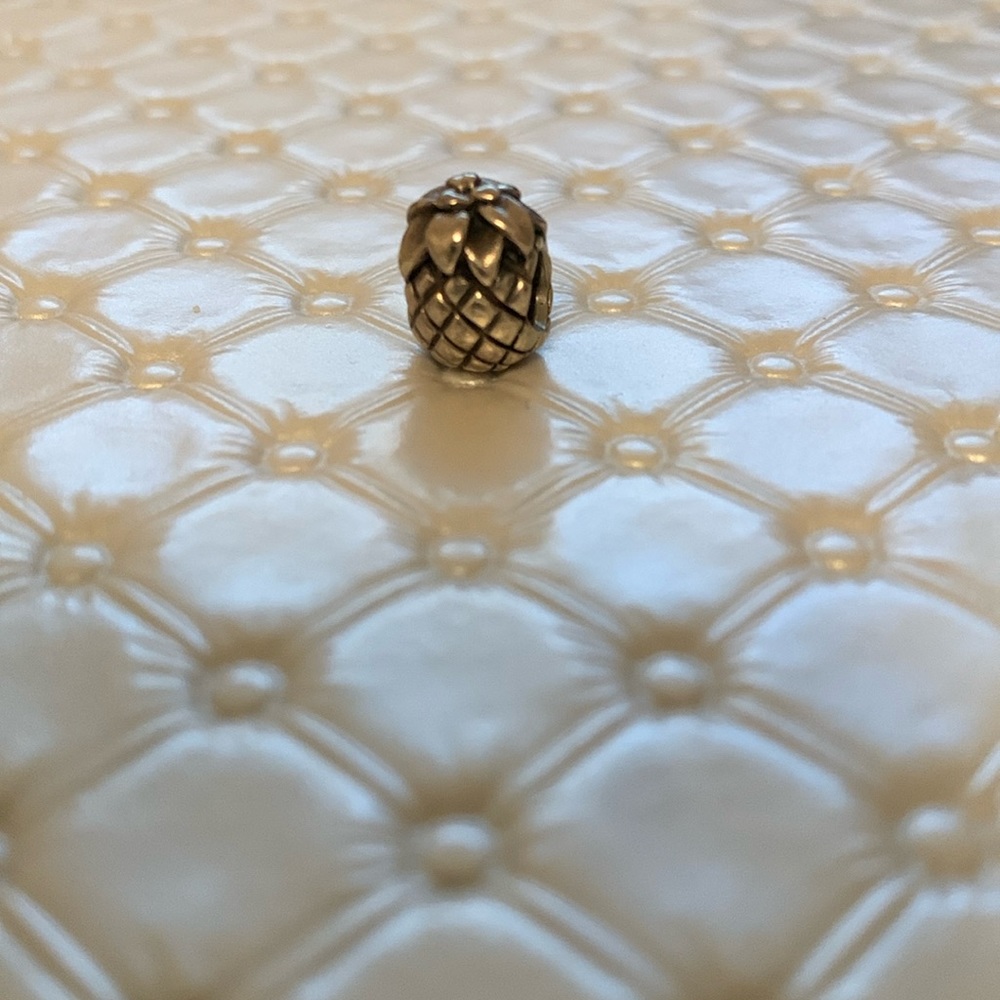 Pandora Charm